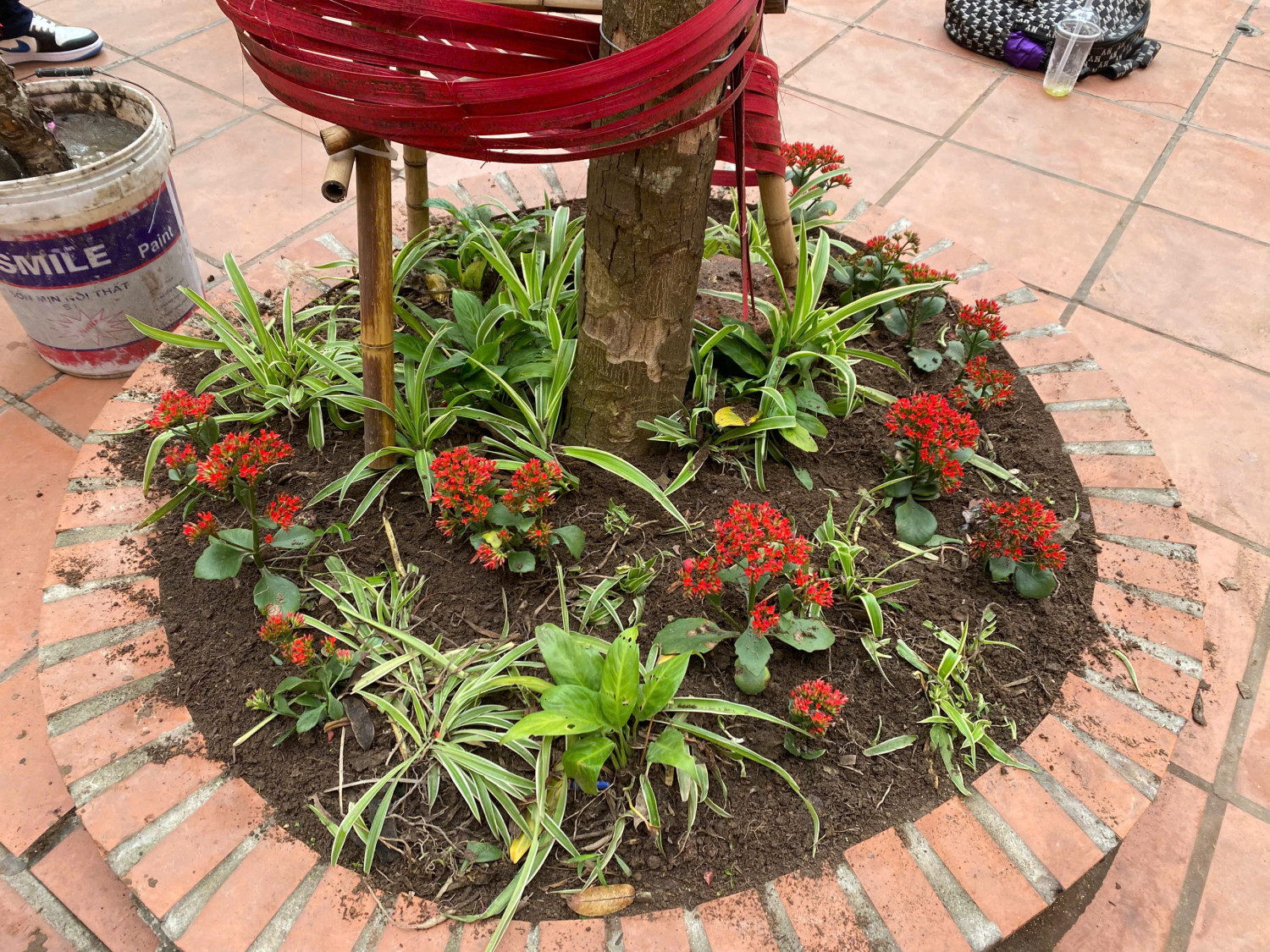 z7570079166096 8749859b15c8f3a2603fc8a9c5d5b2f6